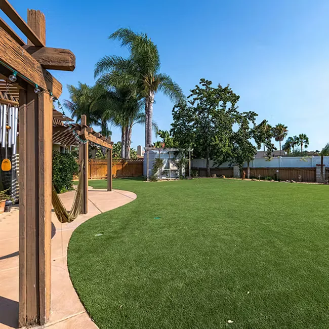 Grass Carpeting in UAE