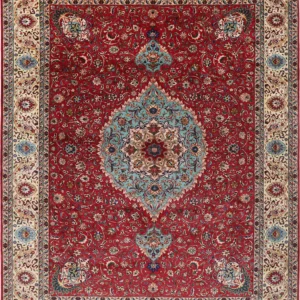 10′ x 13′3″ Tabriz Authentic Persian Rug – Catalina Rug